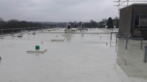 Dairygold Parlon Roof Refurbishment